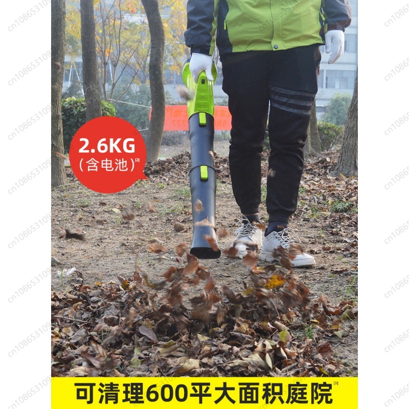Cordless Leaf Blower Rechargea - Leaf Blower Cordless 评论和价格