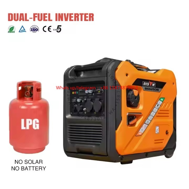 Dual Fuel 5000W 5kw 6.5kva Por - Portable Generator Inverter 评论和价格