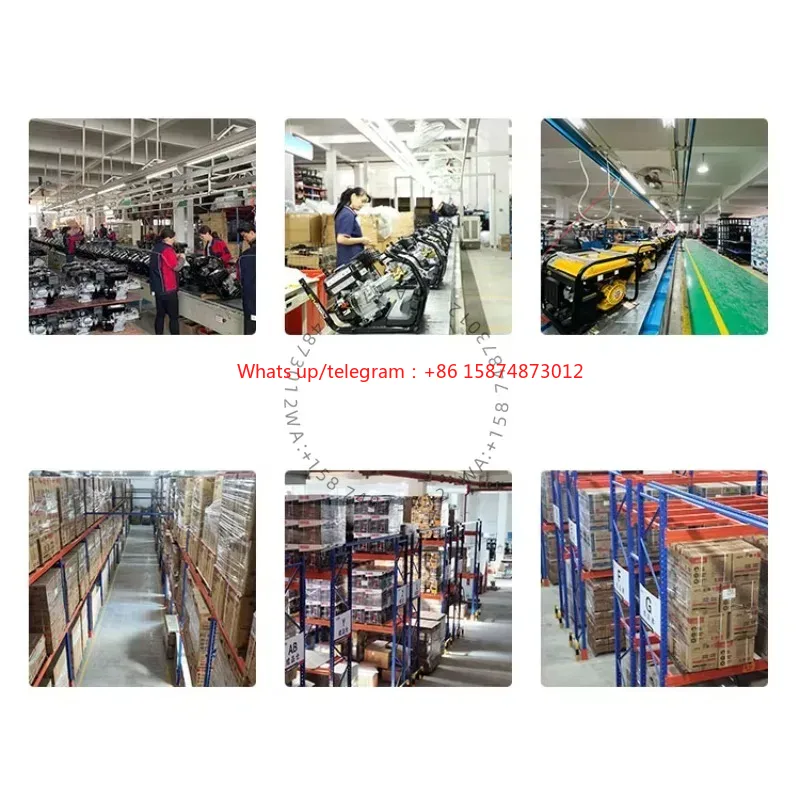 Dual Fuel 5000W 5kw 6.5kva Por - Portable Generator Inverter 评论和价格
